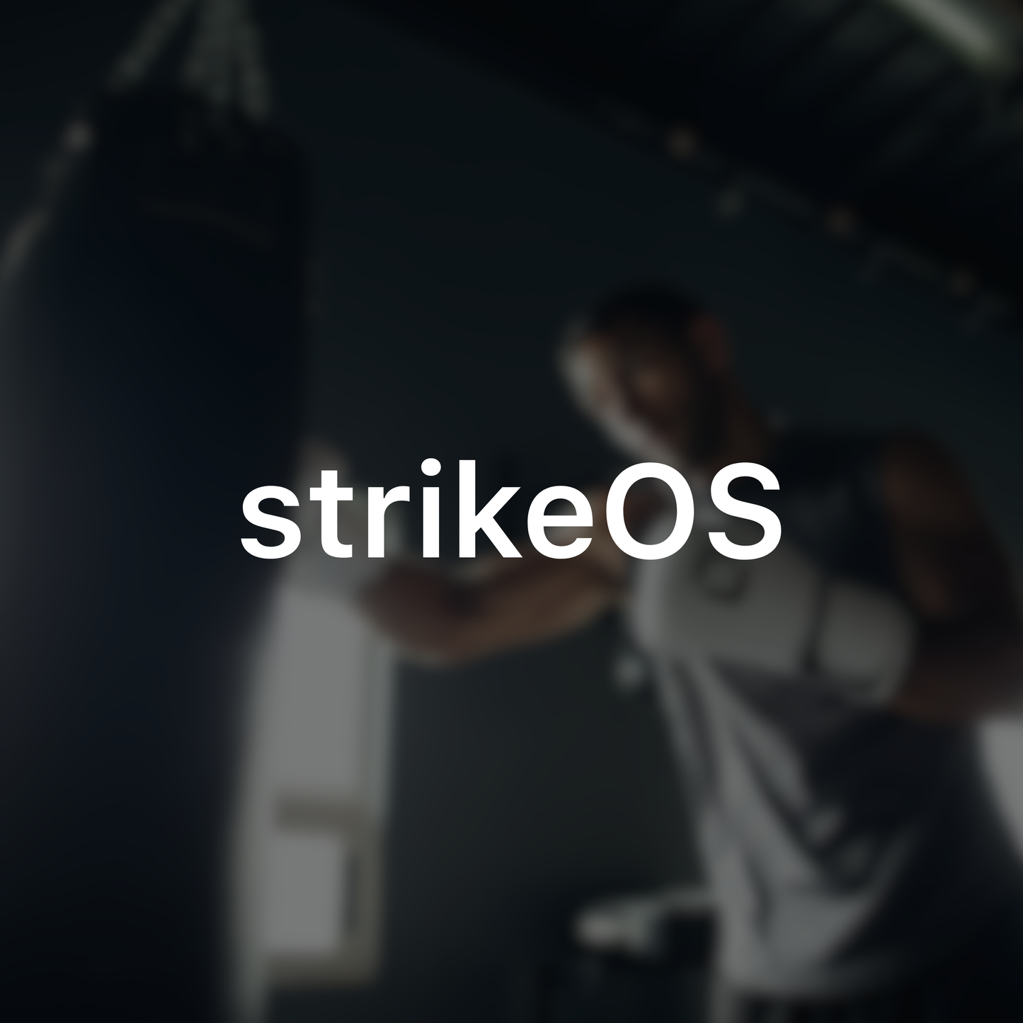 Origin Membership (3 Months Free, $14/mo after)